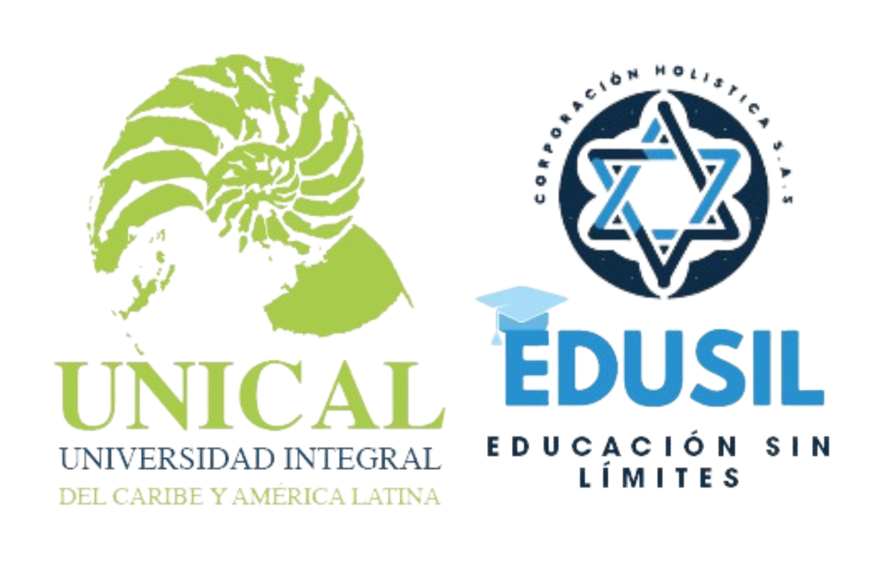 Aula Virtual - Edusil